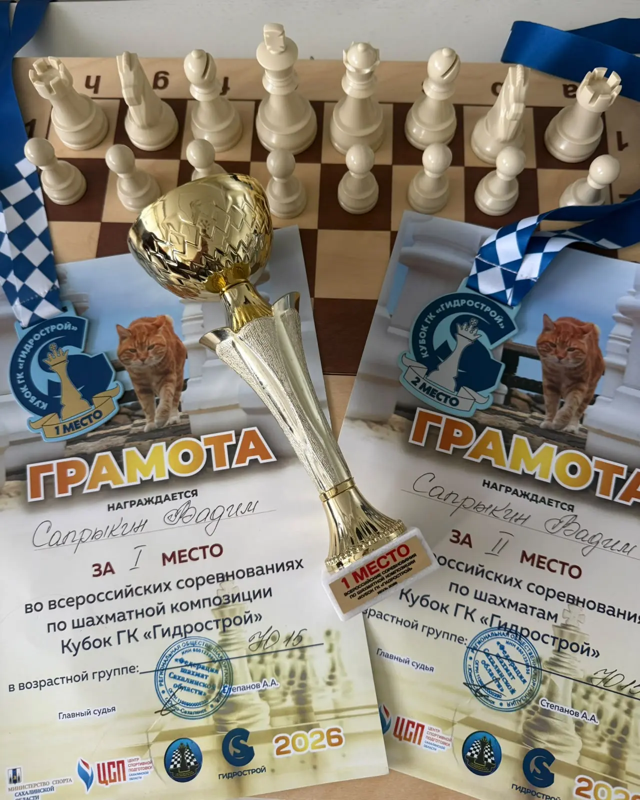 🏆 Двойной успех нашего лицеиста! 🏆

Поздравляем Вадима Сапрыкина с блестящим выступлением на Всеро
