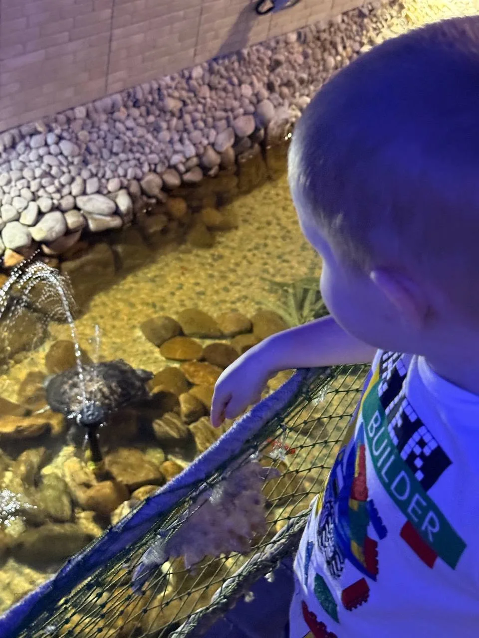Подводный мир 🐠🦀🐢

Мы сегодня были в океанариуме, Матвею очень понравилось ♥️
Пофоткались, потом 