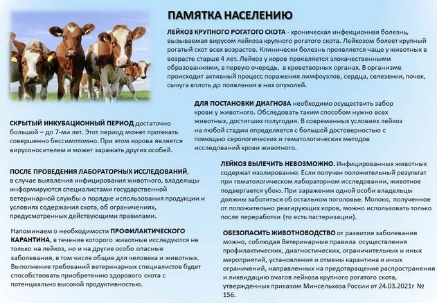 Памятка населению. 
Лейкоз крупного рогатого скота.