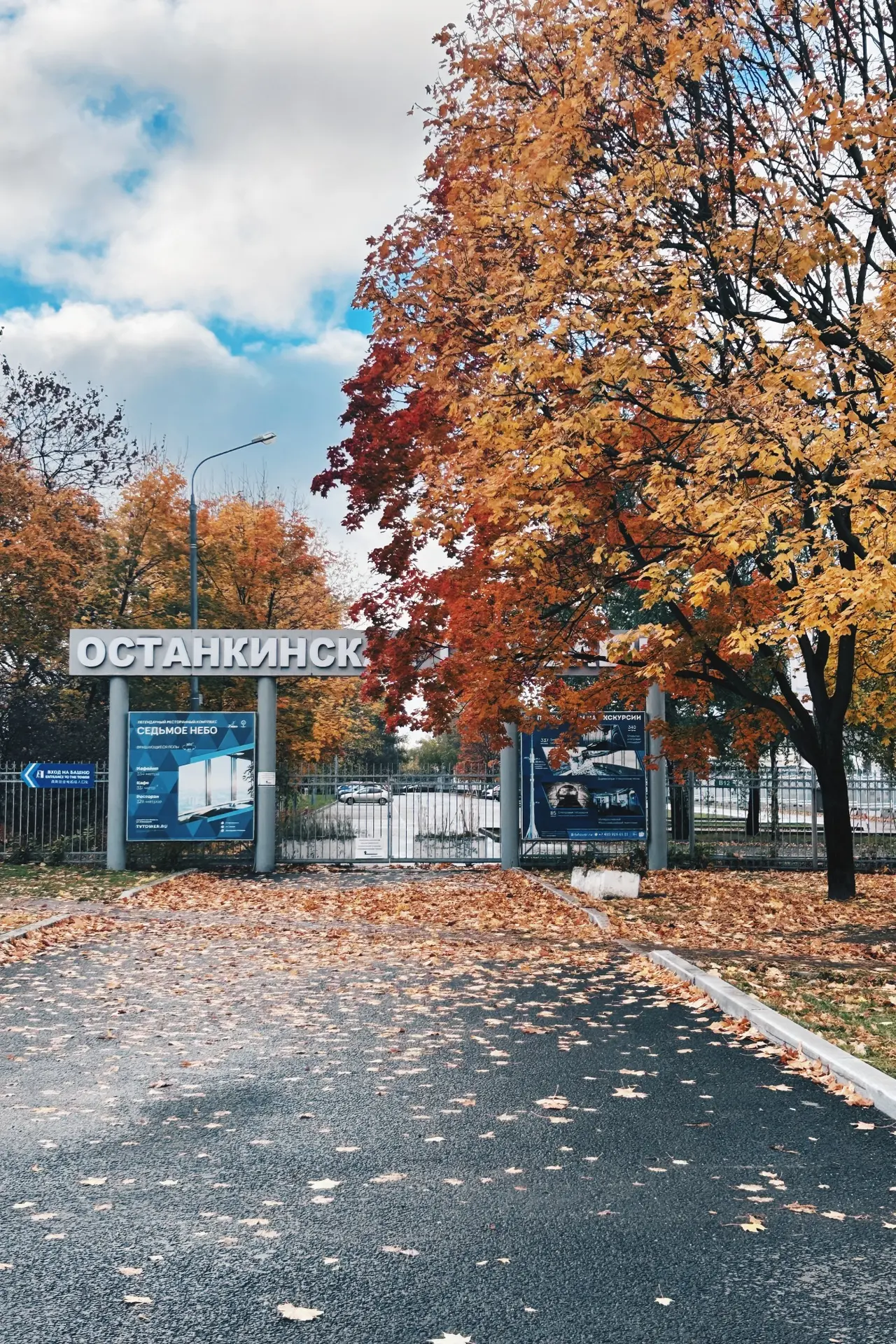 🍂