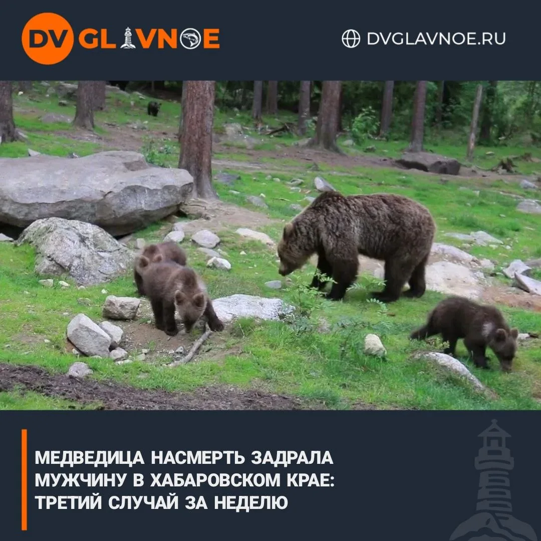 Один погиб, второй спасся

Трагедия произошла в районе посёлка Мухен. Двое мужчин спустились к реке 