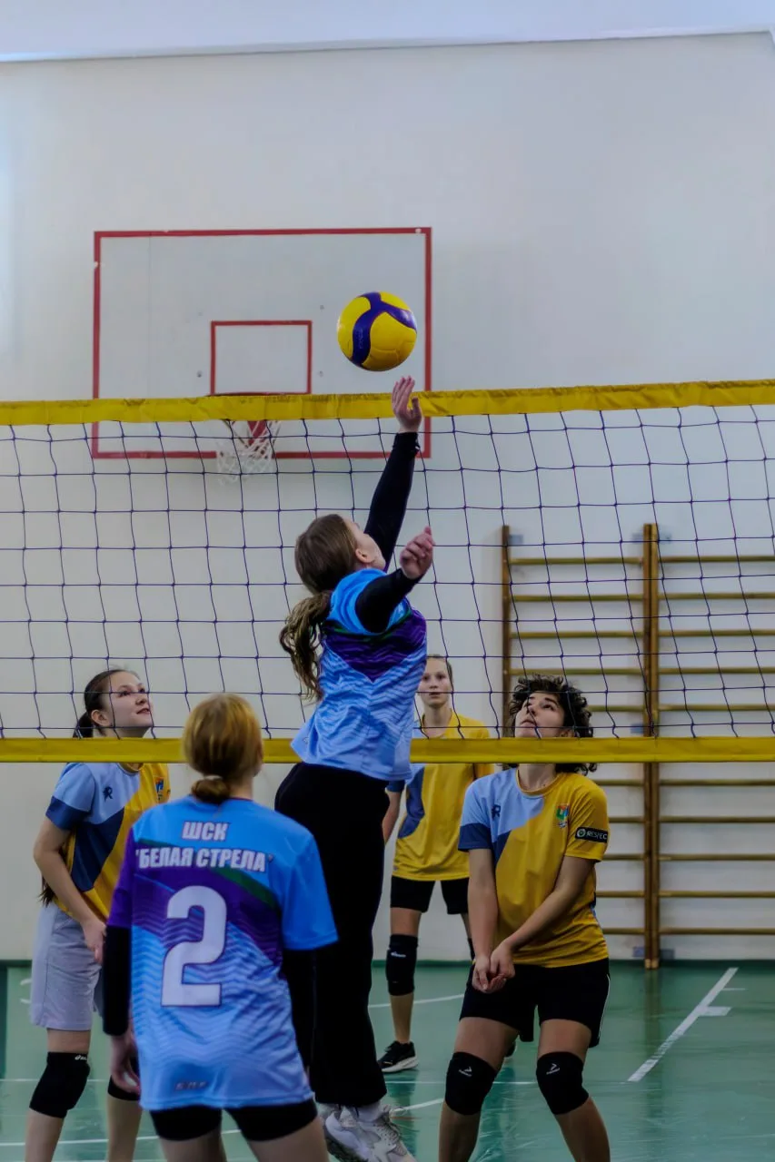 🏐 Наши спортсмены  📍 Ленинский проспект, 34А  💪🏻 На прошлой неделе состоялся уже традиционный товари