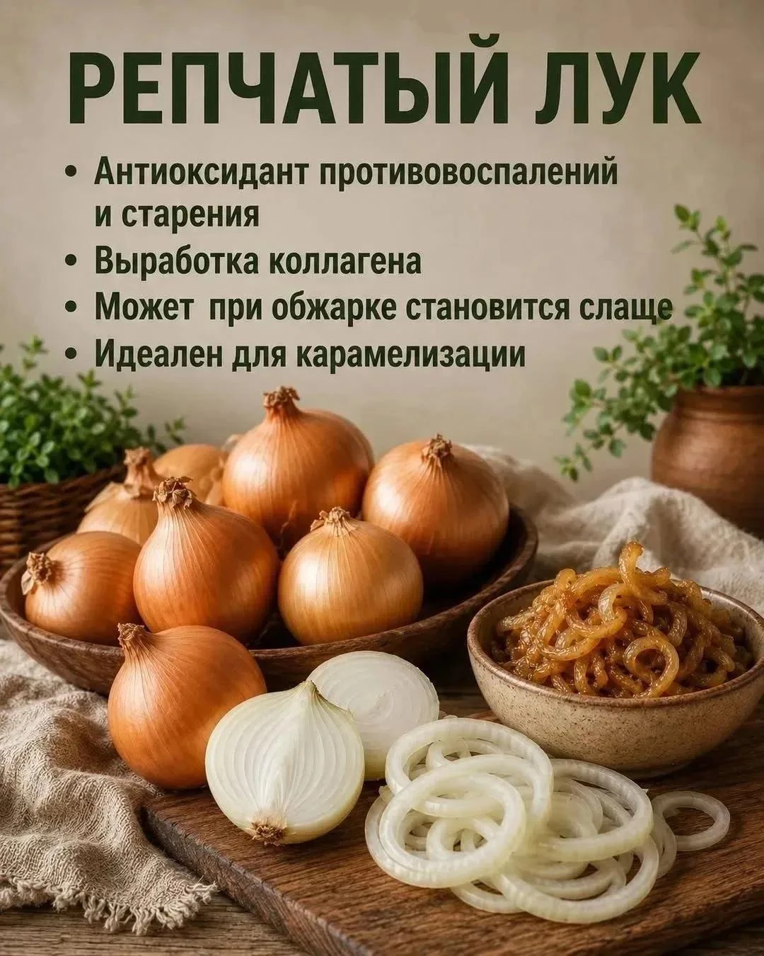 ☘️ ПОЛЕЗНОЕ - РЯДОМ