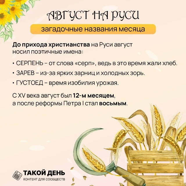 Встречаем последний месяц лета! Пусть он принесет вам уютные вечера, теплые воспоминани...