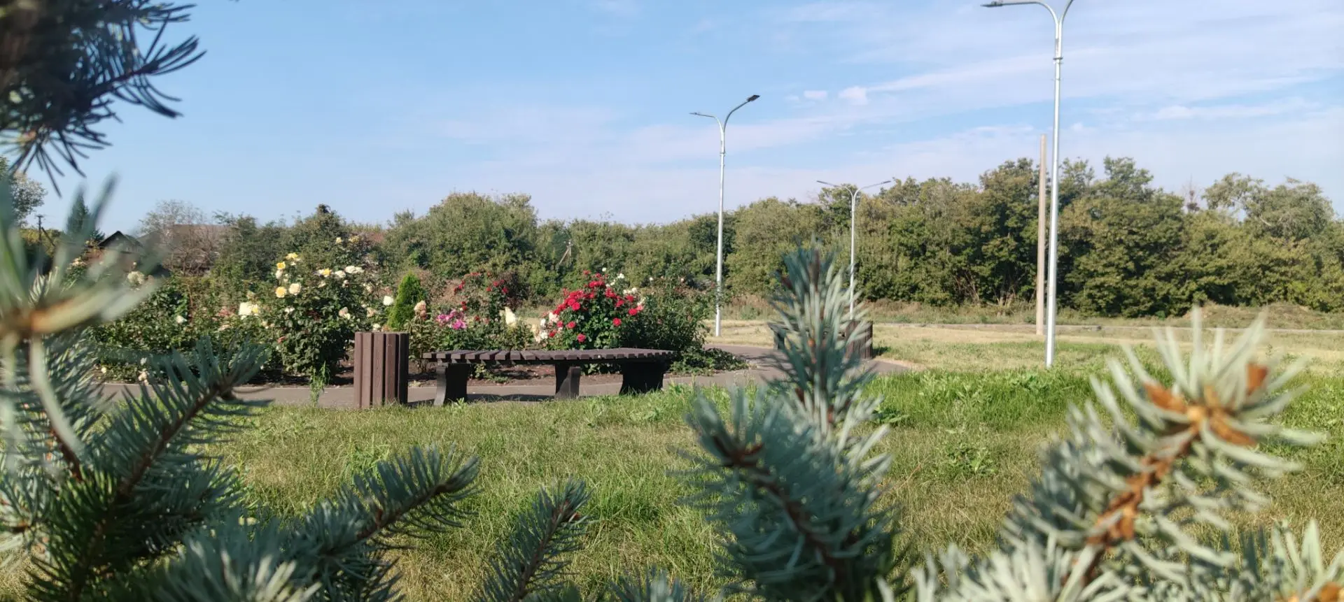 Доброе утро, дорогие подписчики! ☀️