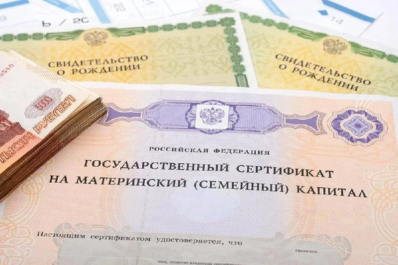 Максимальный размер материнского капитала превысит миллион рублей в 2027 году.