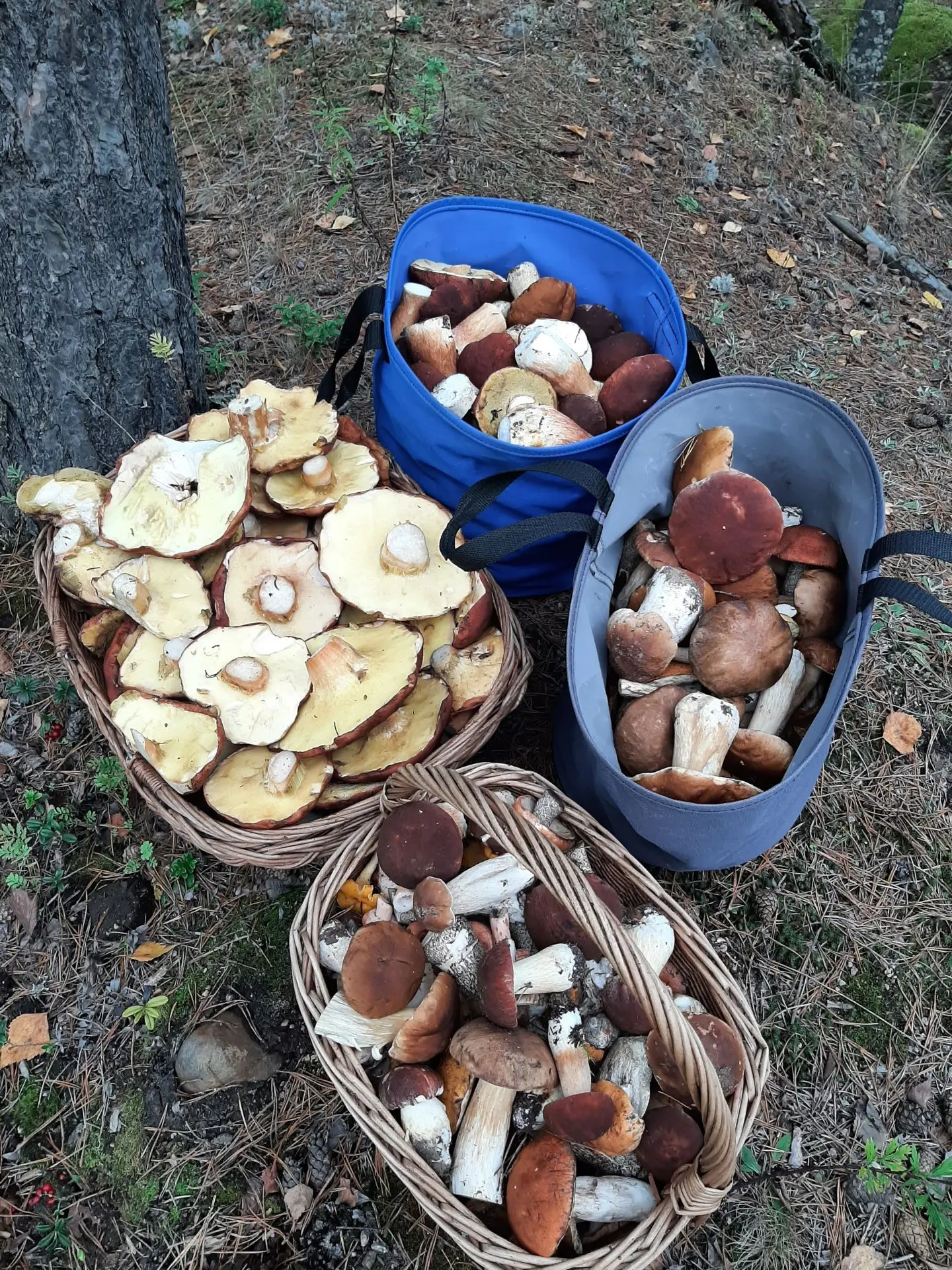 Выборгский район
