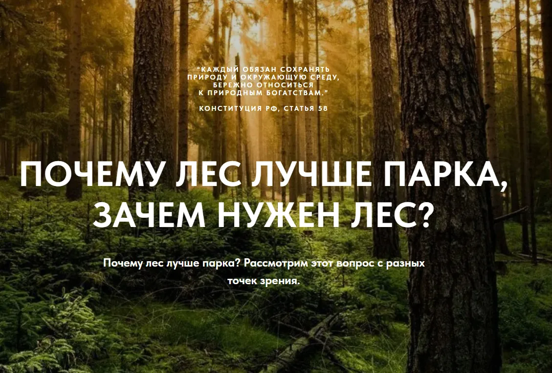 Чем полноценная лесная экосистема лучше парка. На примере Горенского леса