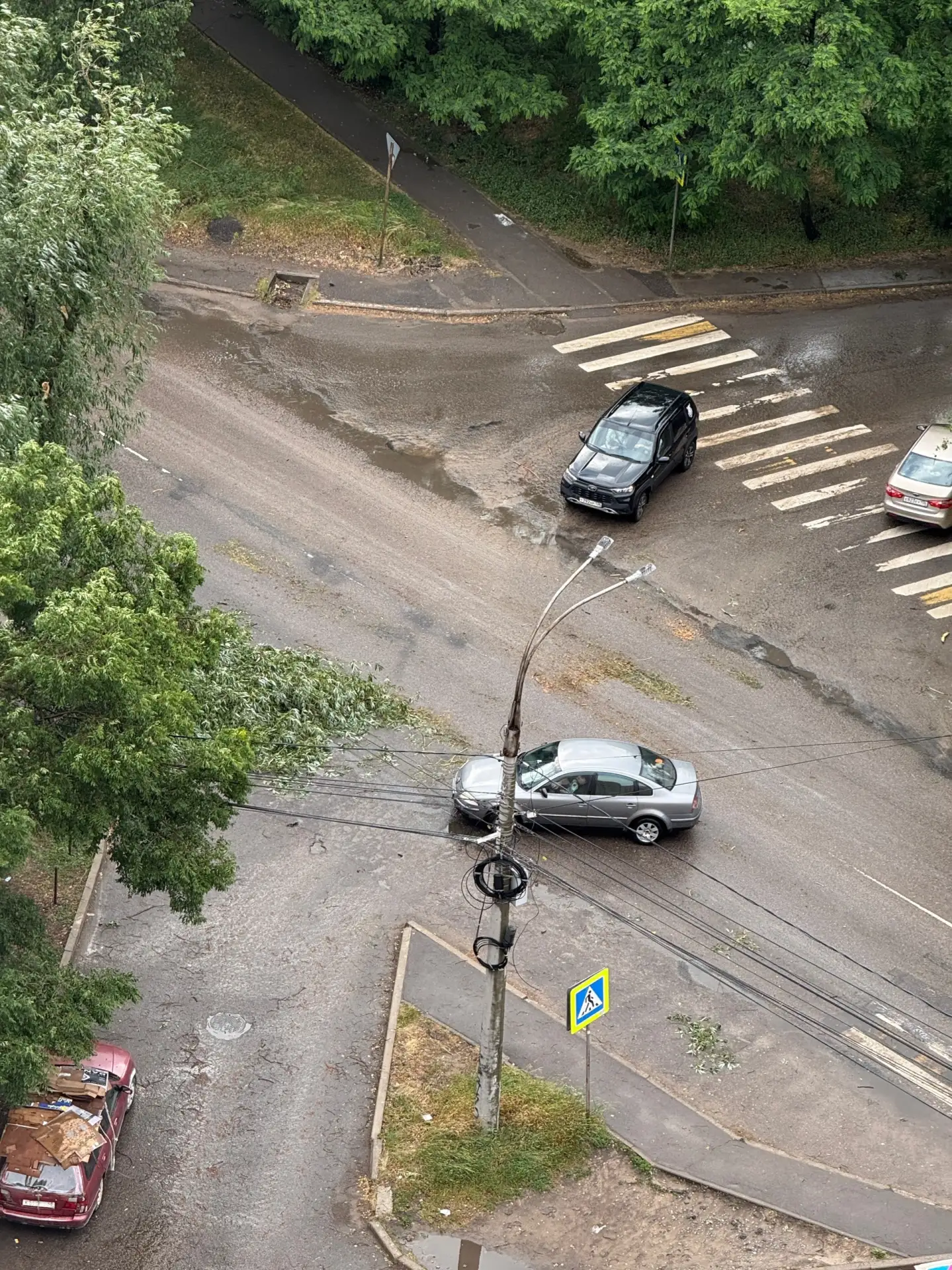 🌳Воронежцы пожаловались спасателям на упавшие деревья

За сегодня они оставили 17 заявок. Всему вин