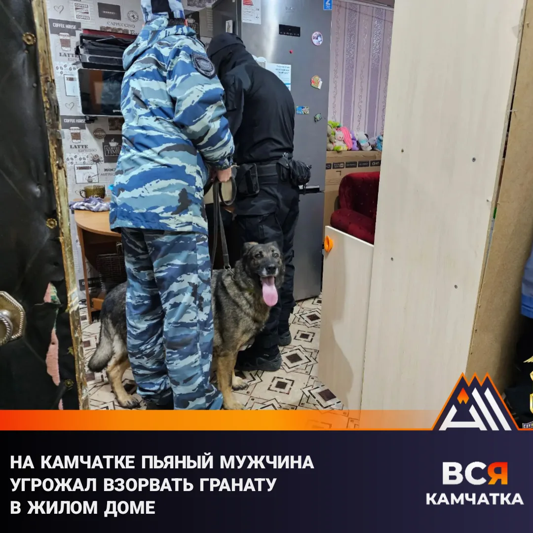 Пьяный жилец напугал соседей гранатой