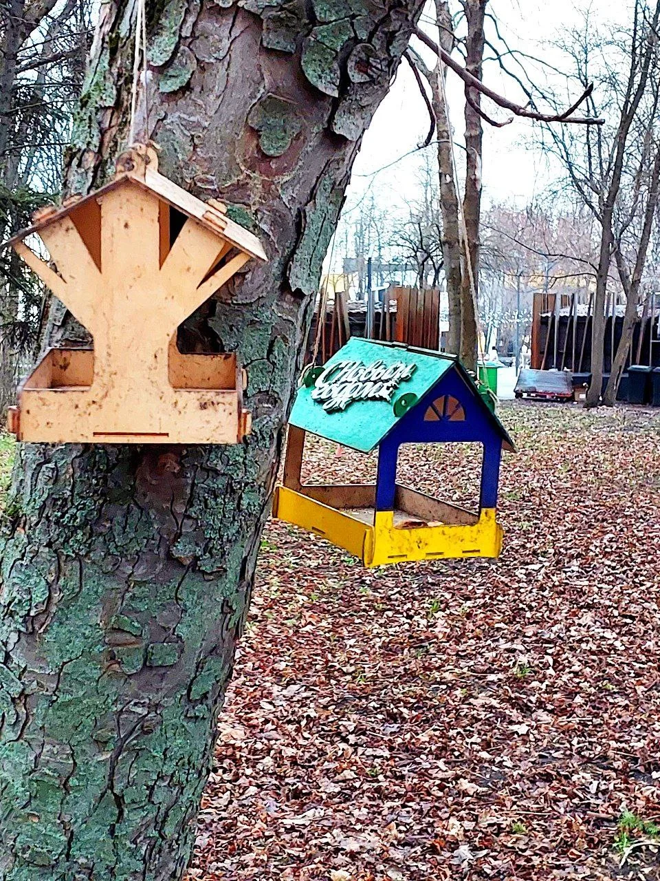 🌸 Быханов сад 🌸  Друзья, Гуляка побывал сегодня в Быхановом саду - красота неописуемая! 😍 Цветение н
