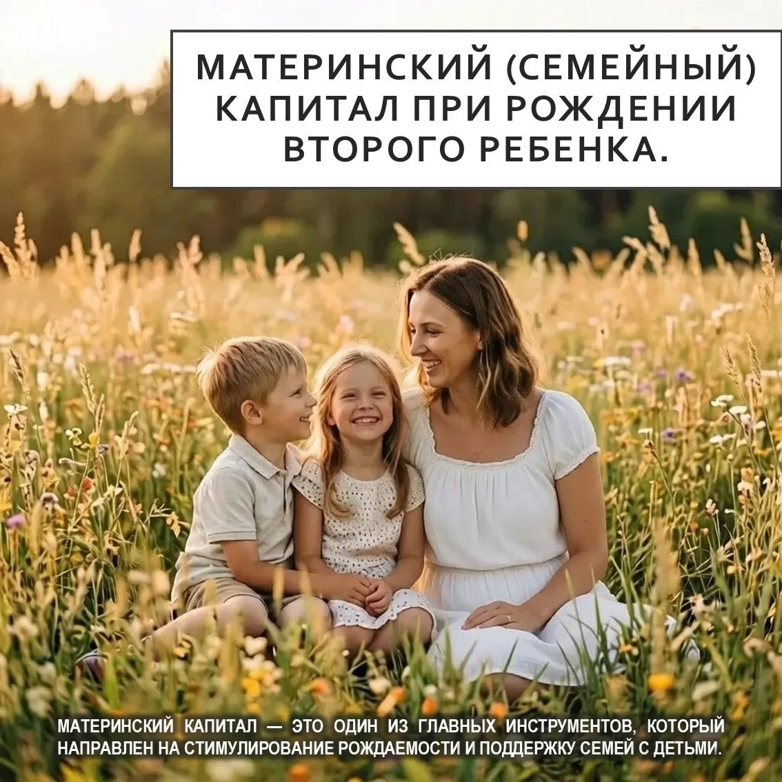⚡️Материнский капитал — это один из главных инструментов, который направлен на стимулирование рождае