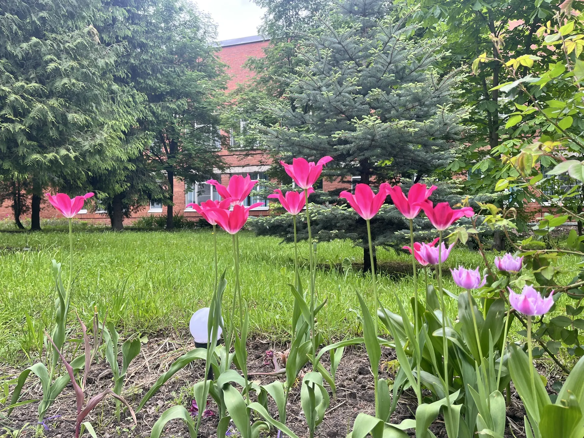 🌸☀️Первый день лета в нашем цветущем доме!