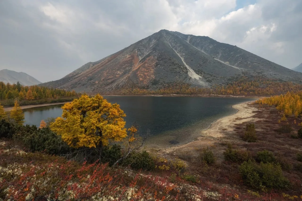 🌞 С добрым утром! Пусть оно будет светлым, добрым и наполнит тебя бодростью, энергией ...
