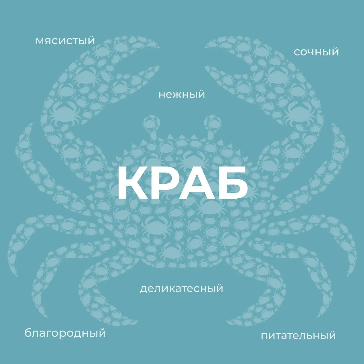 🦀 Краб – настоящий морской клад