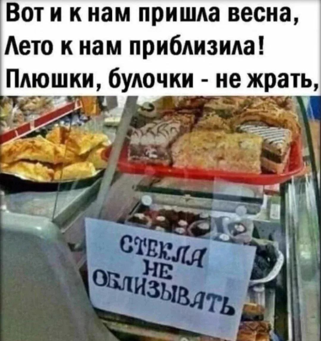 Северный Мишка
