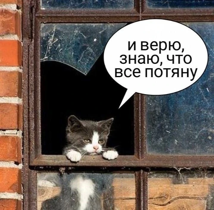 Всем нам необходим мощный рывок, чтобы дотянуть до выходных. А они - не за горами.  ▪️Читайте ЖБЗ в 