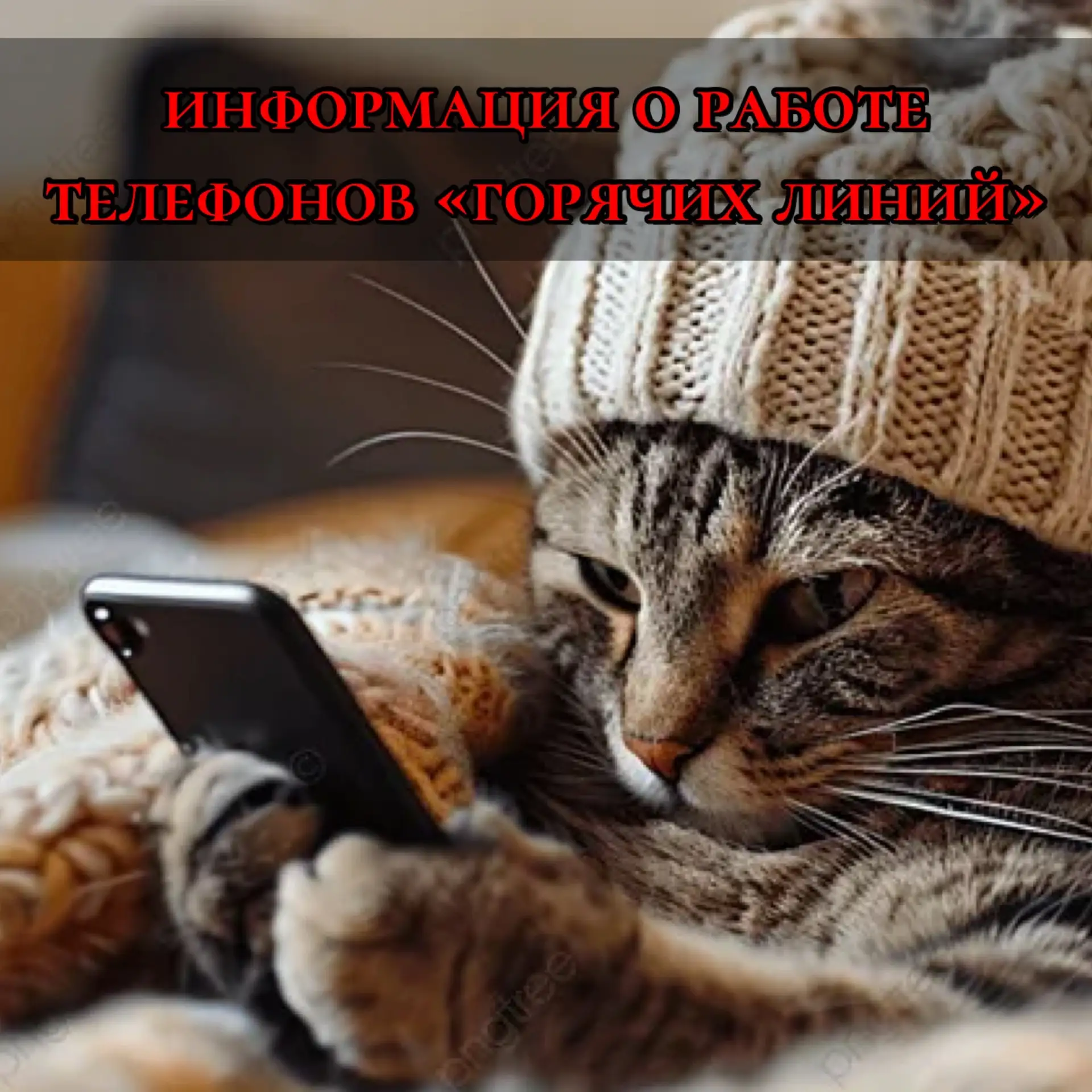 УСЗН в Туапсинском районе информирует о работе «Горячих линий»

☎ телефон региональной «горячей лини