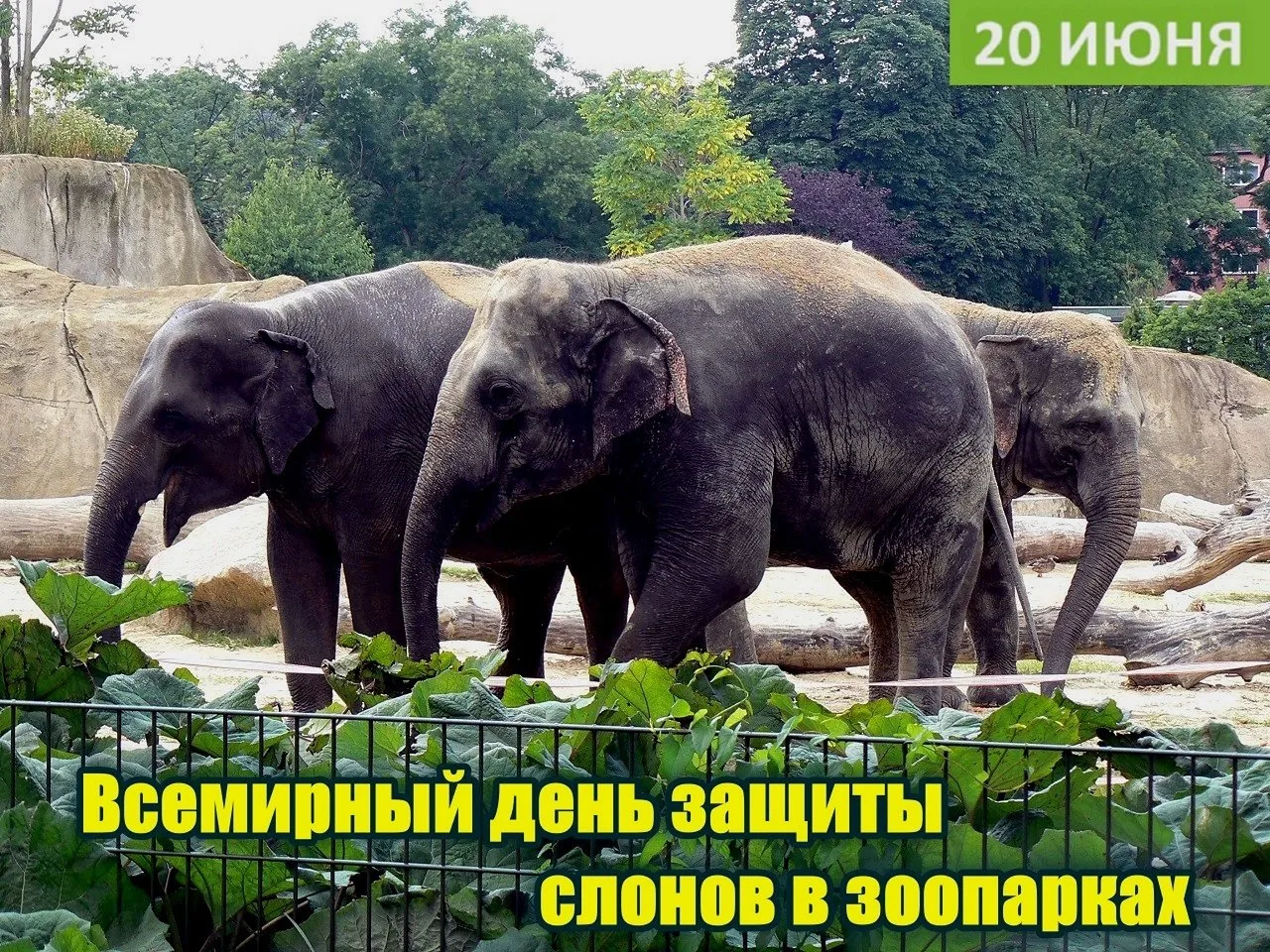 Добрый день, Адмиралтейский округ! 💕

🌺 Сегодня суббота, 20 июня, и это:

🛜 Всемирный день Wi-Fi
