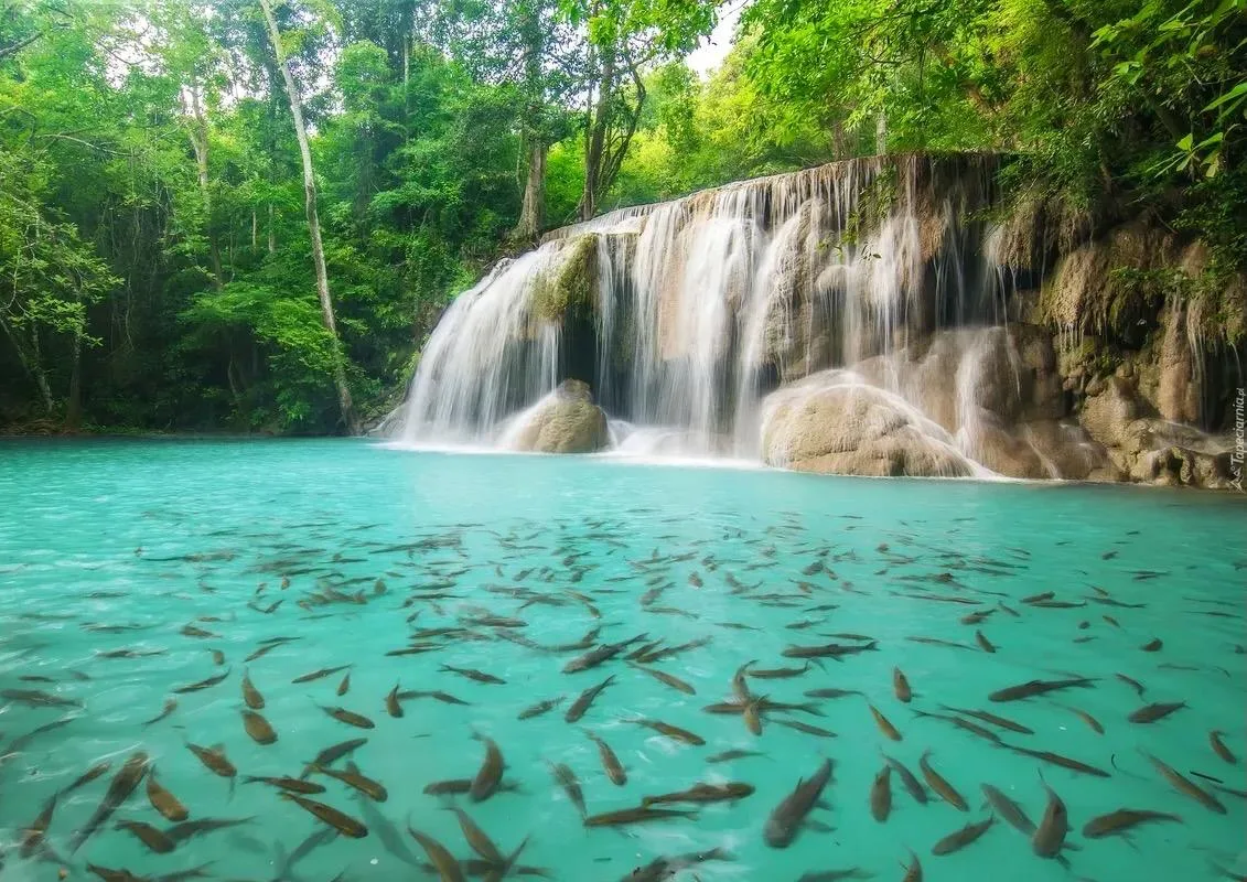 Водопад Эраван, Таиланд 🇹🇭  🔹 Эраван - водопад из семи каскадов в тайской провинции Канчанабури.  На