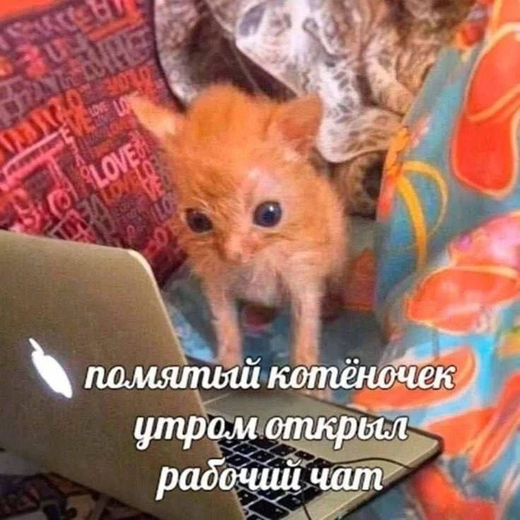 Он снова здесь
