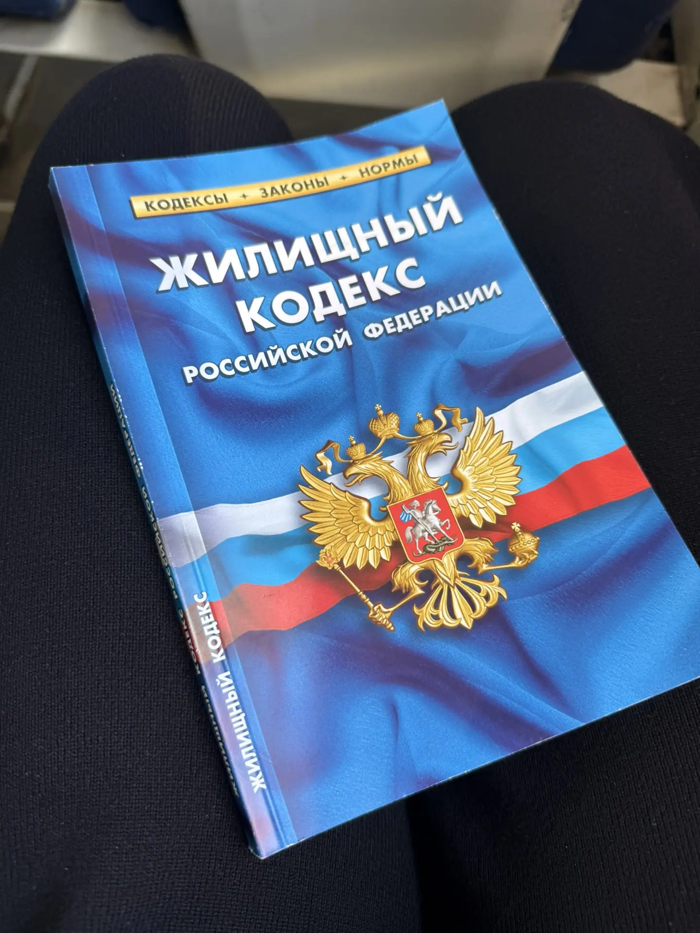 👧 Девочка: Читает Магия Утра.