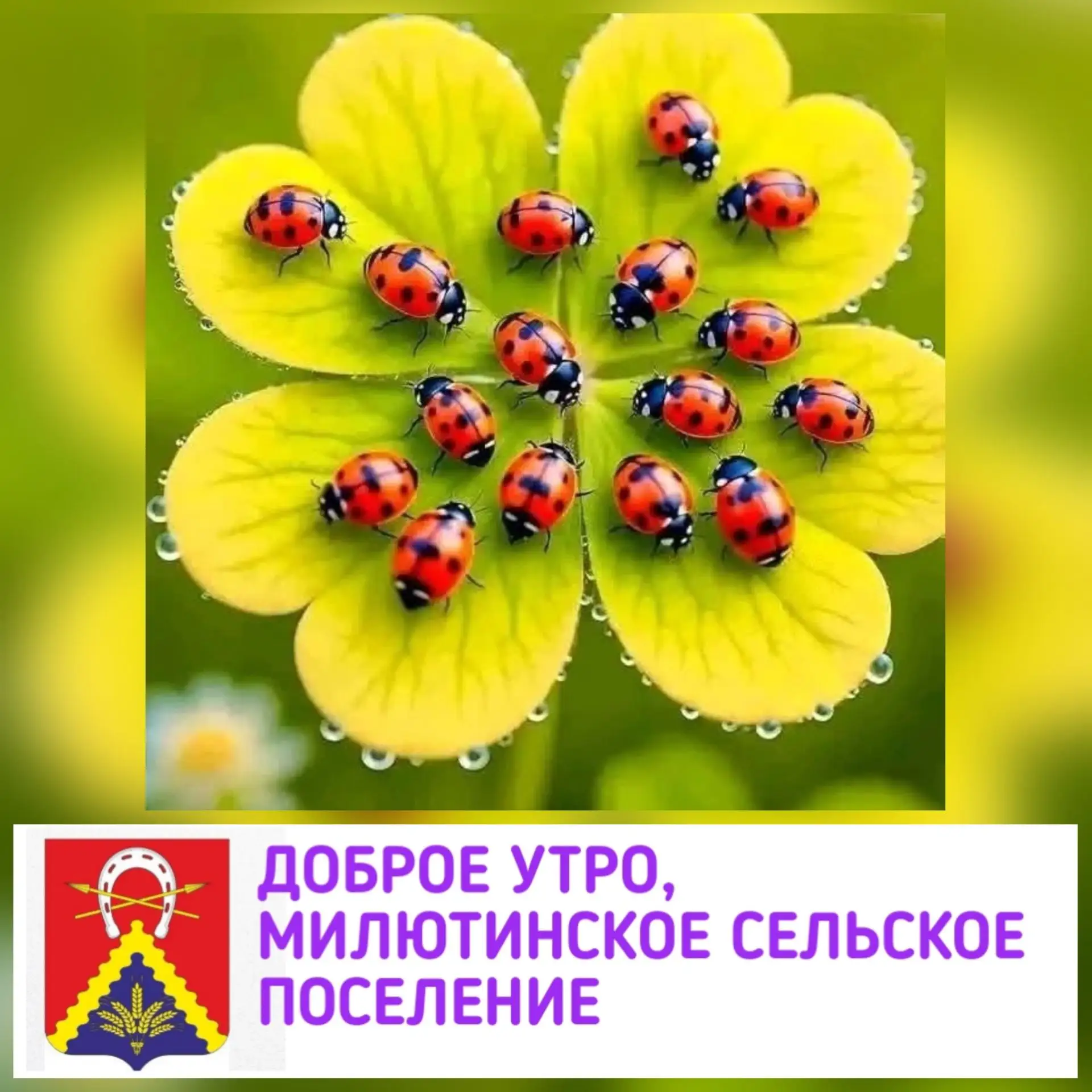 🫶Пусть сегодняшний вторник балует вас хорошей погодой, добрыми людьми и отличным настр...
