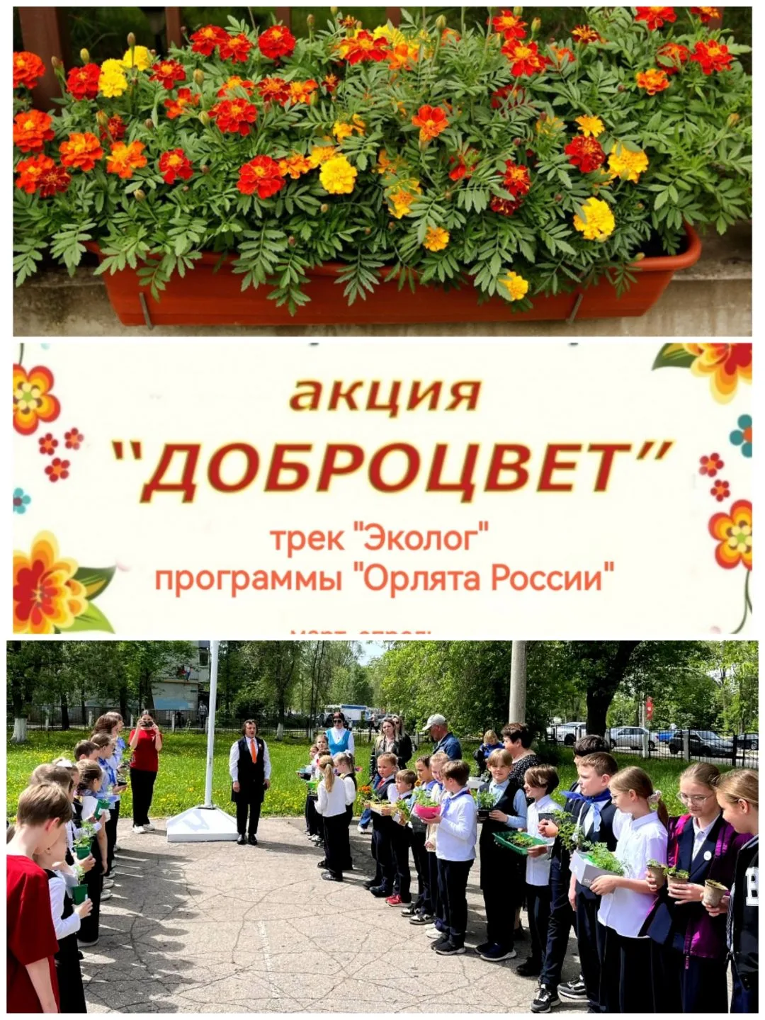🌷В марте-мае 2026 года в начальной школе проходила  акция "Доброцвет" в рамках трека "Эколог" програ