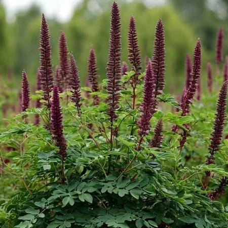 🌿 В ЛНР утвердили перечень опасных растений, подлежащих уничтожению

Правительство республики утвер