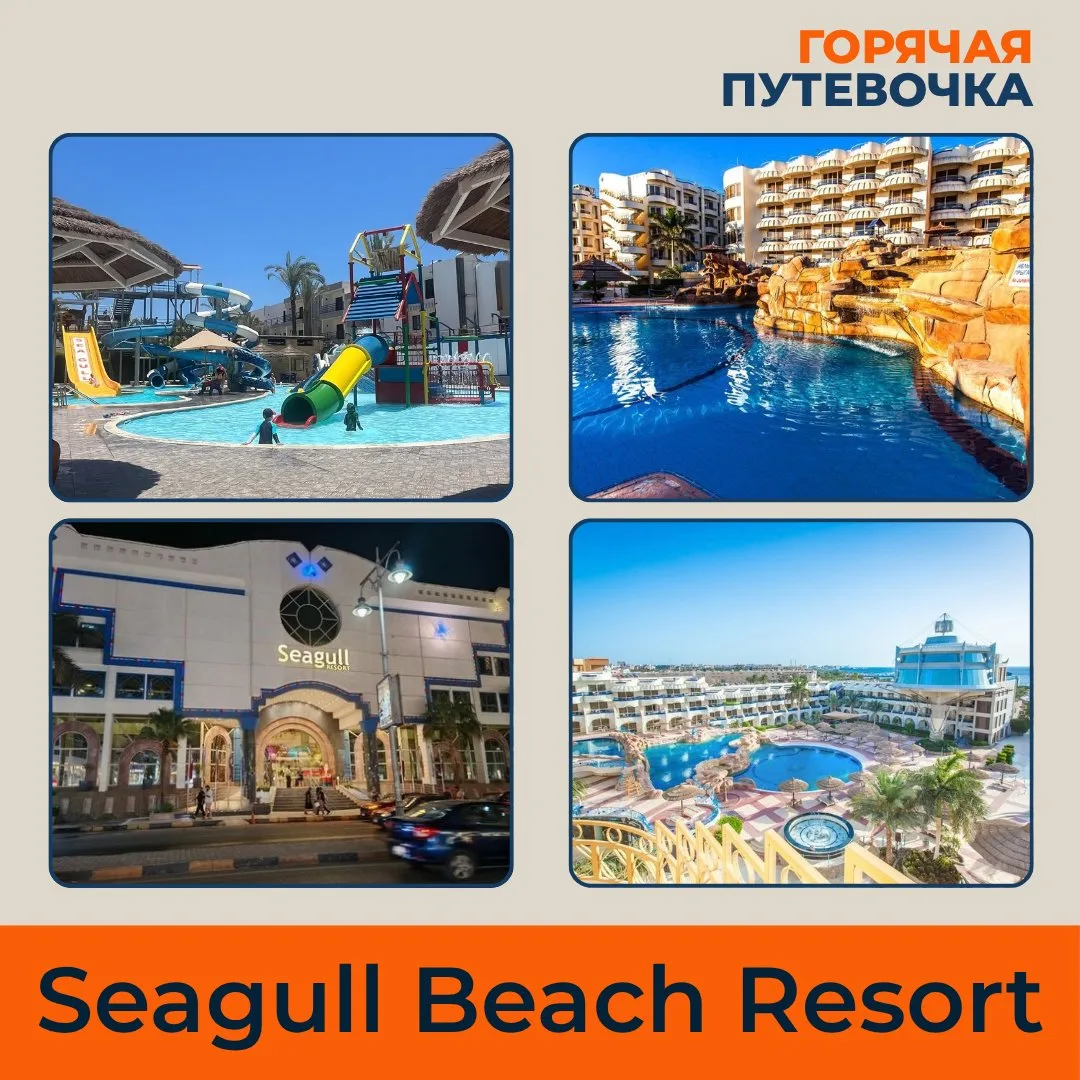 Кому идеально подойдёт отель Seagull Beach Resort 4 в Хургаде?
