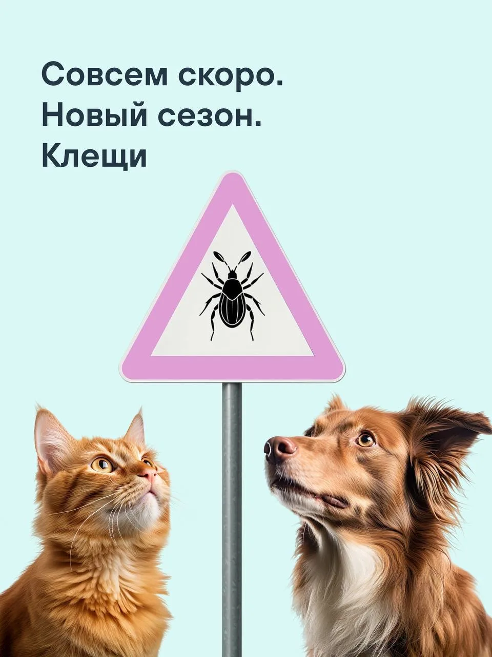 https://vk.ru/wall-233745970_152