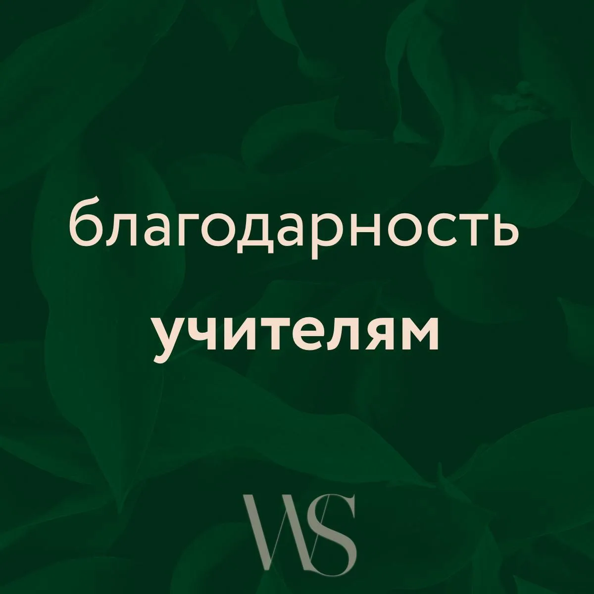 Дорогие, сегодня мы празднуем день учителей ❤️