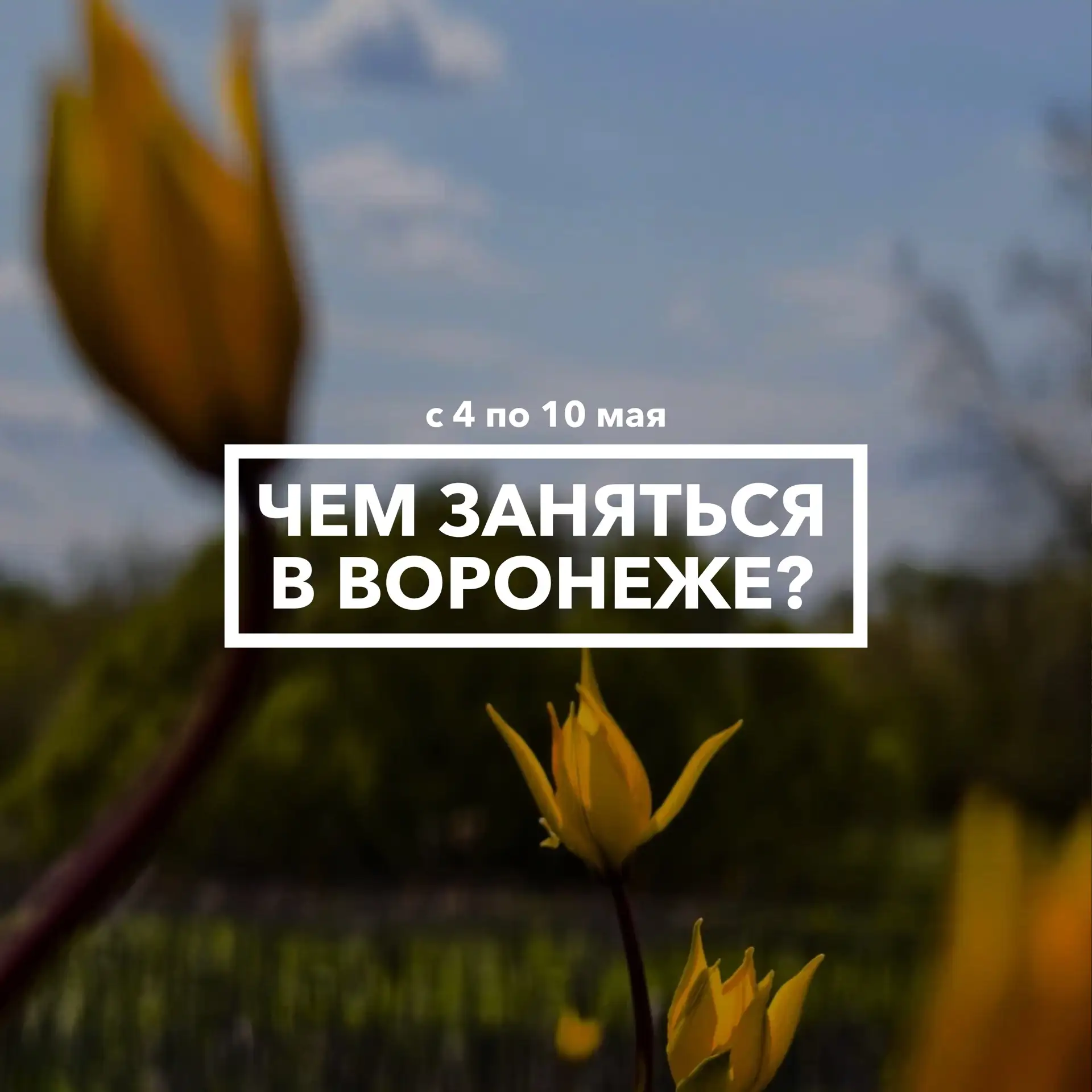 Дайджест событий в Воронеже с 4 по 10 мая ❤️‍🔥