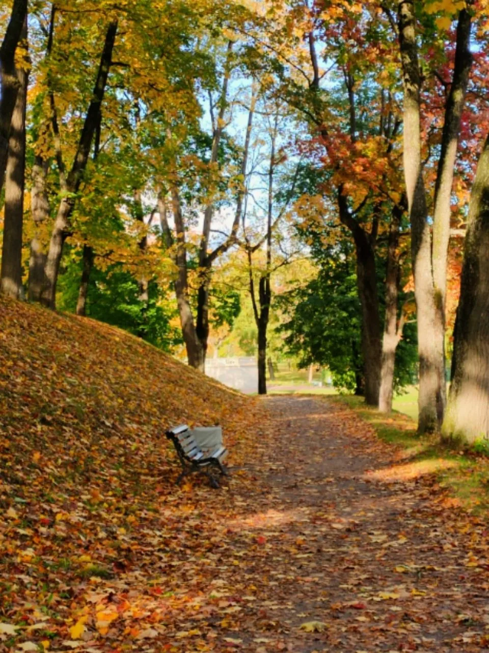 Золотая осень в Гатчинском парке 😍