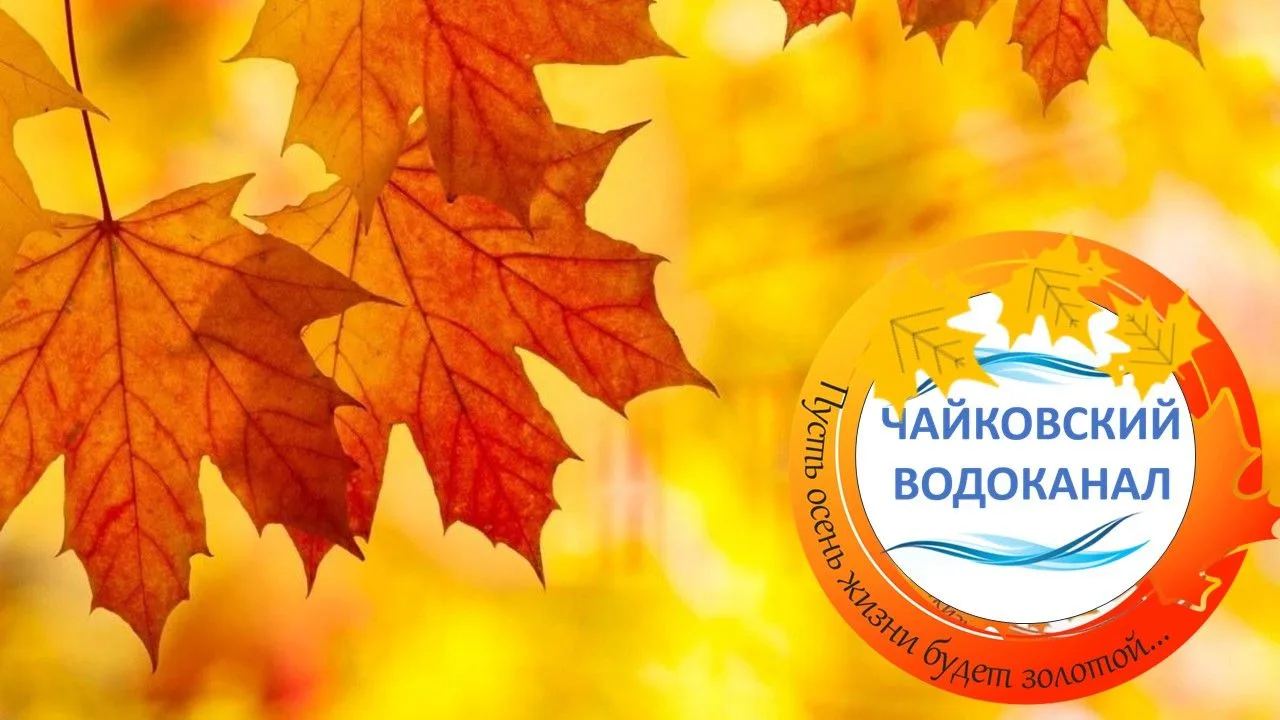 ‼️Дорогие друзья, ветераны и коллеги ПКГУП «Чайковский Водоканал»