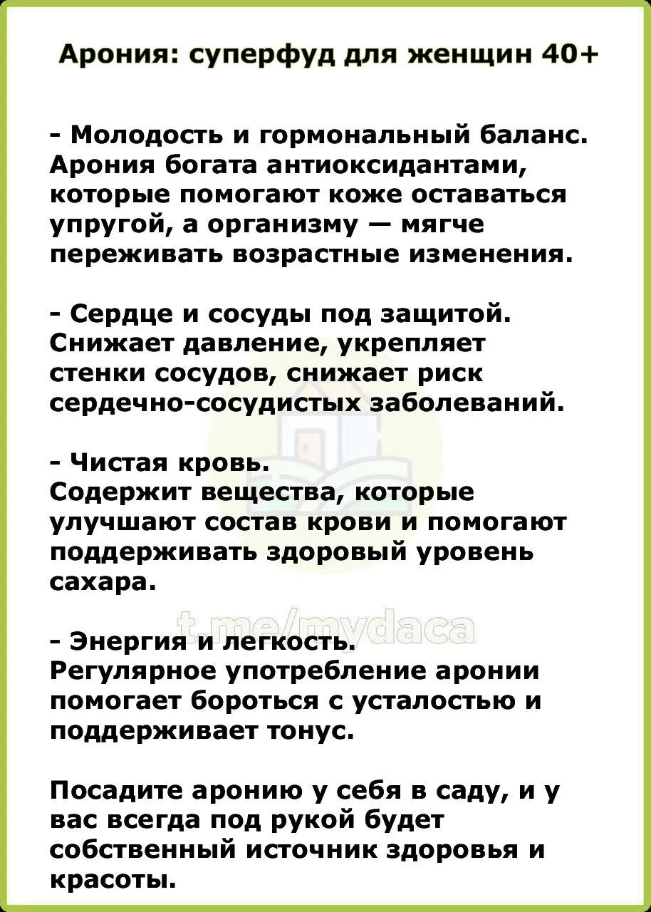 Изображение 2 к публикации «Моя дача»