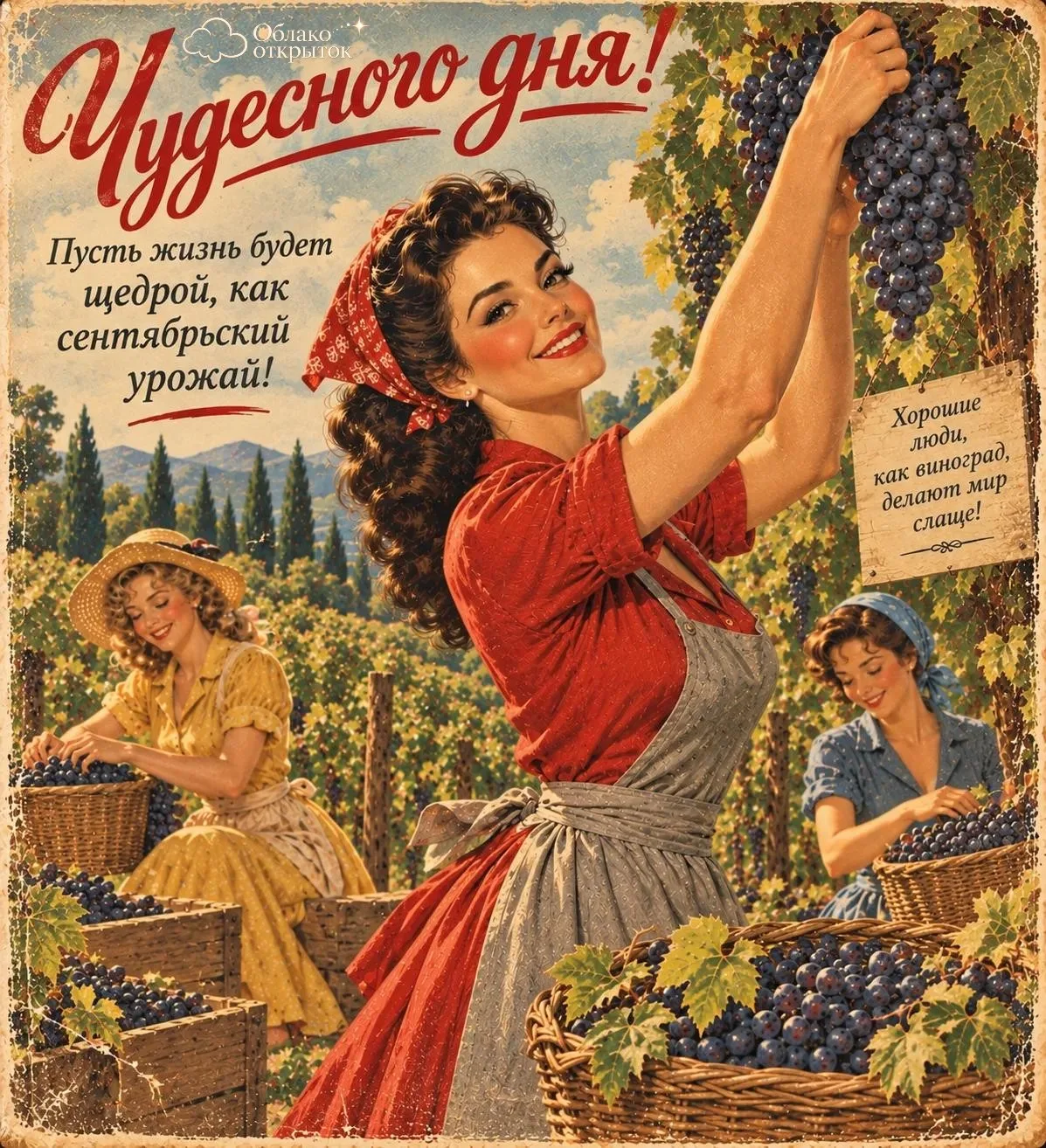 Ставьте реакции 🤍