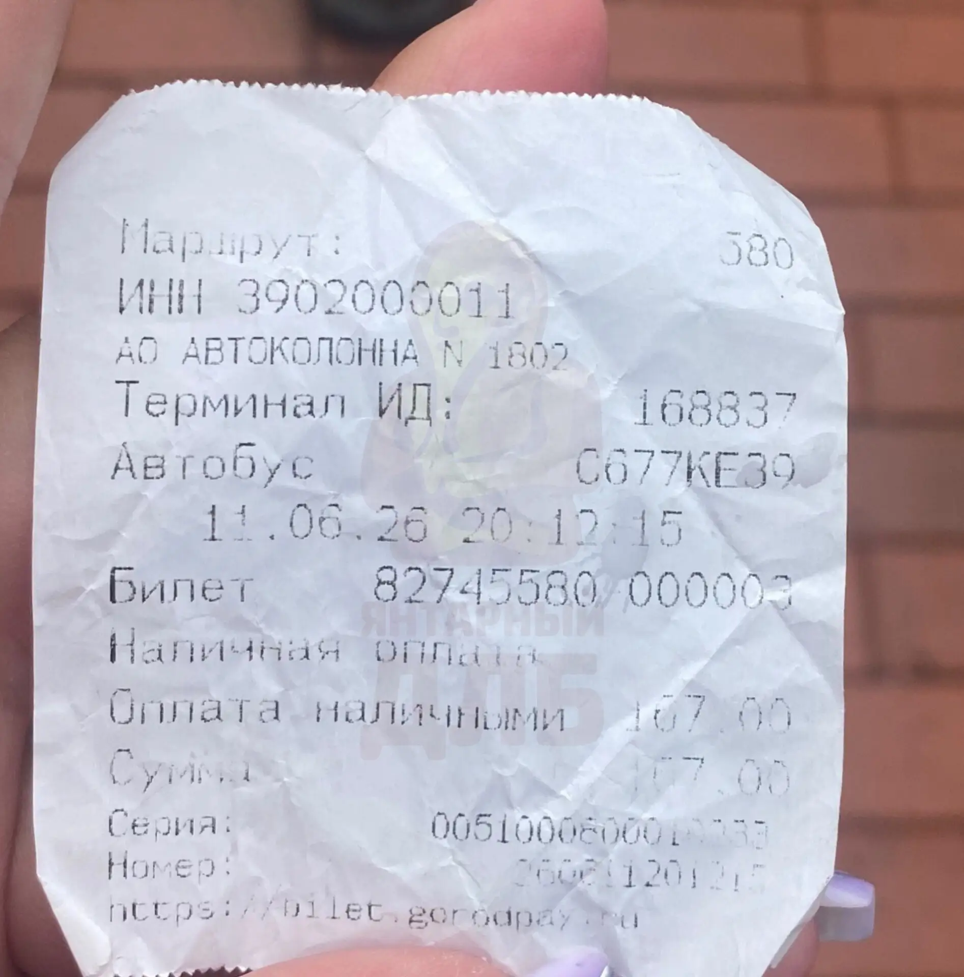ЯНТАРНЫЙ АВТОБУСНЫЙ ИНЦИДЕНТ

Прошу опубликовать ситуацию, которая недавно возникла с водителем марш