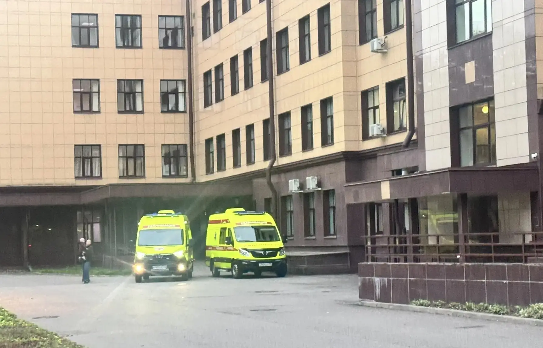 🏥 В Педиатрический университет из Всеволожского роддома перевели новорожденных двойняшек