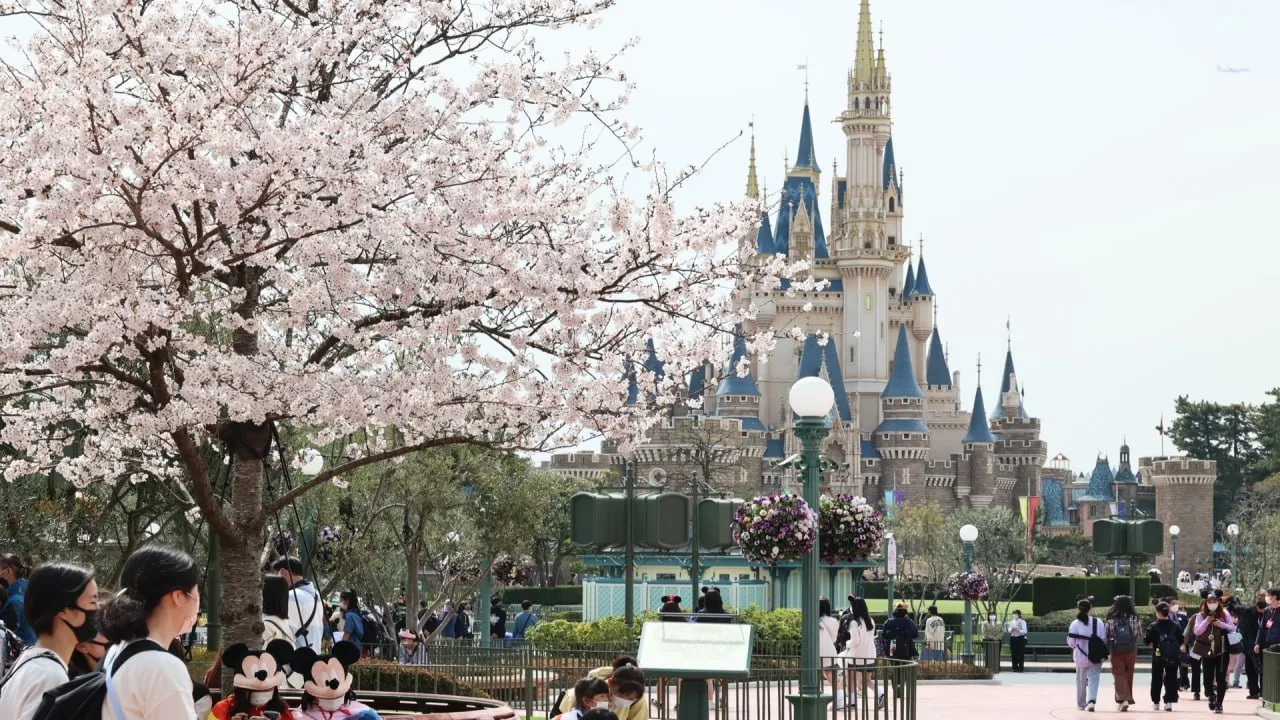 🏰 Токиийский Диснейленд - — это первый Disney-парк за пределами США, открывшийся в 198...