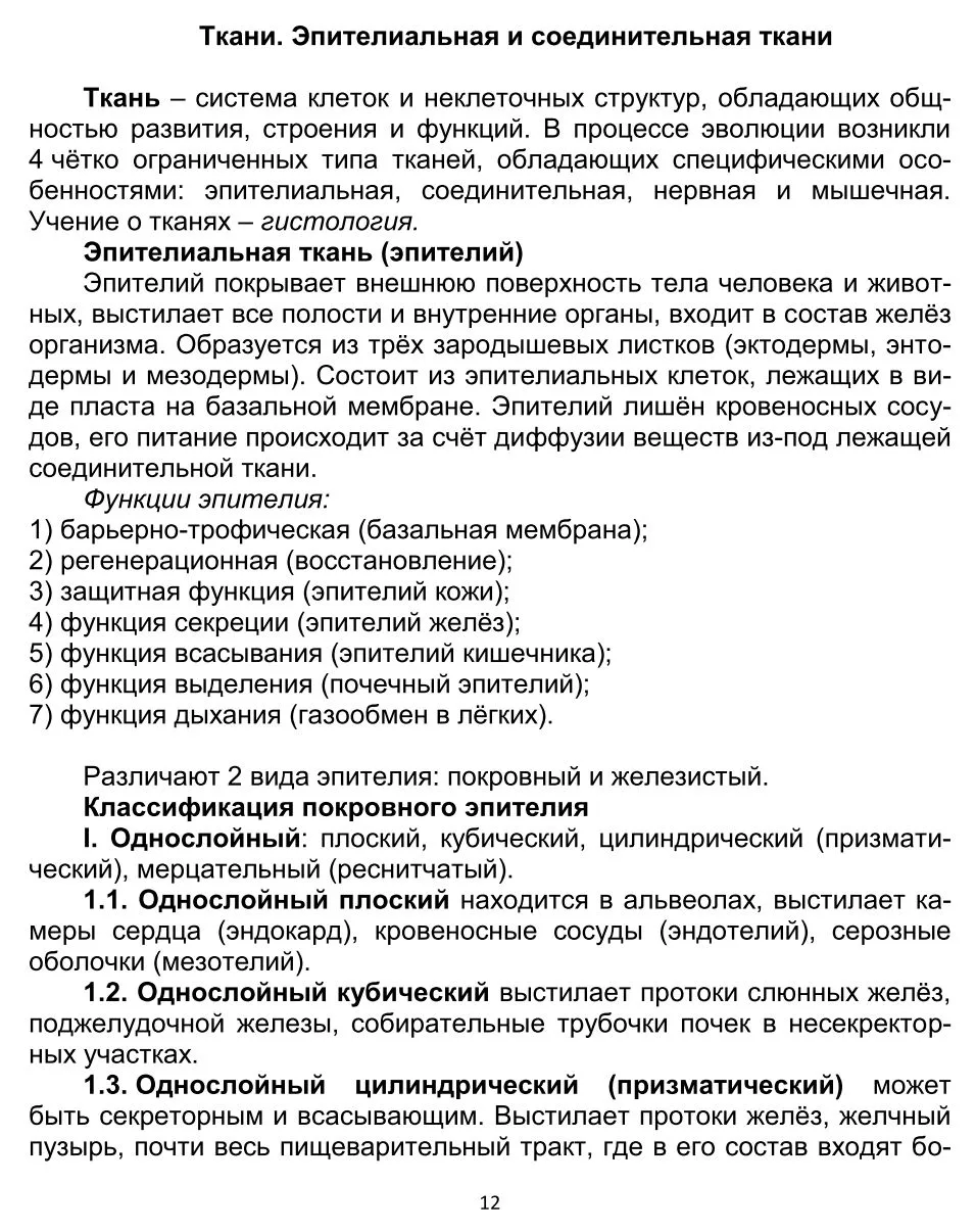 Эпителиальная и соединительная ткань
