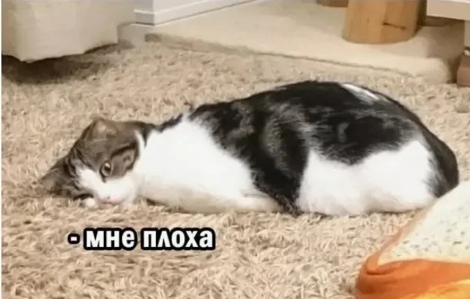 В пятницу жить станет сложнее