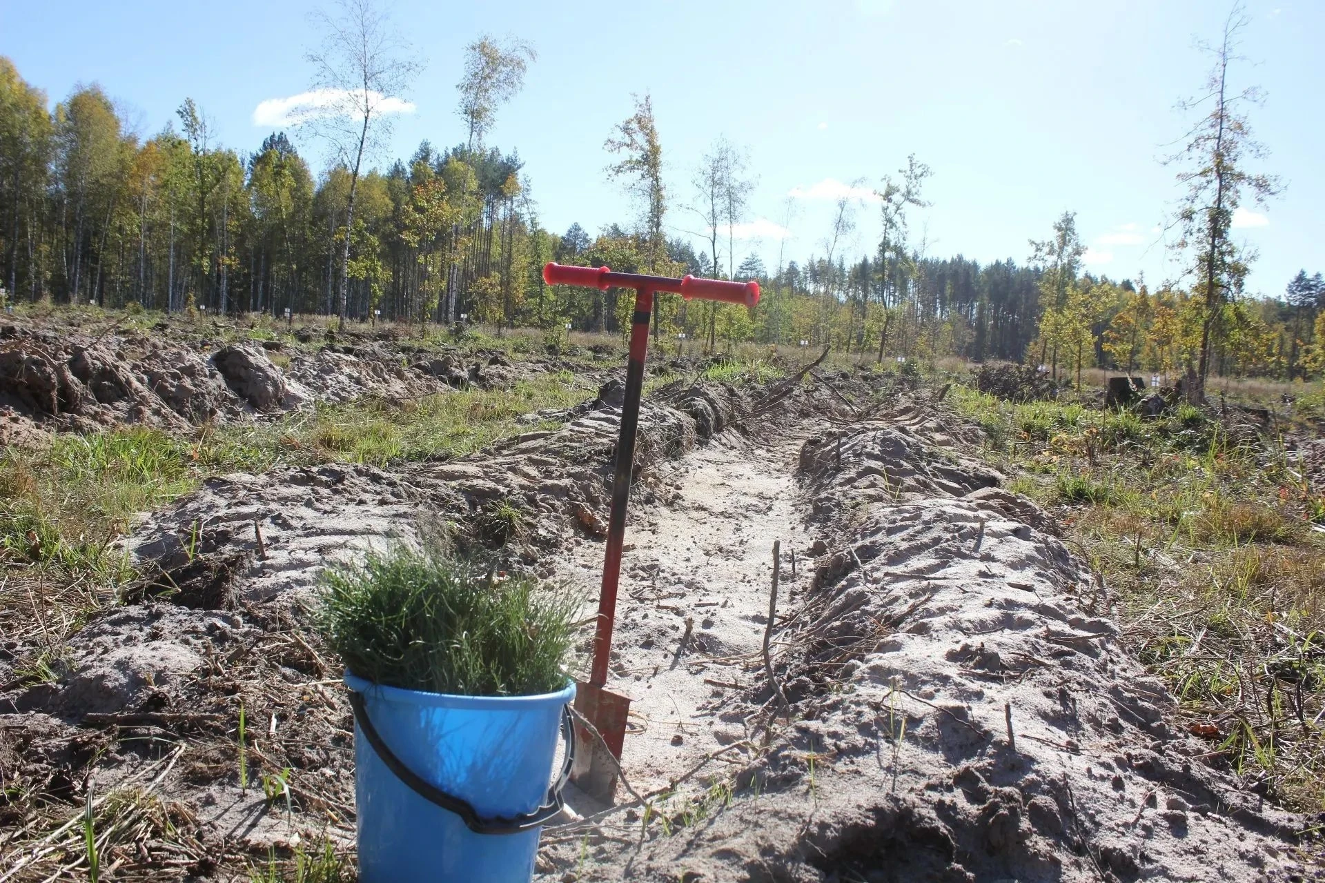 🌲 В Краснослободском районе состоялась акция «Сохраним лес»!