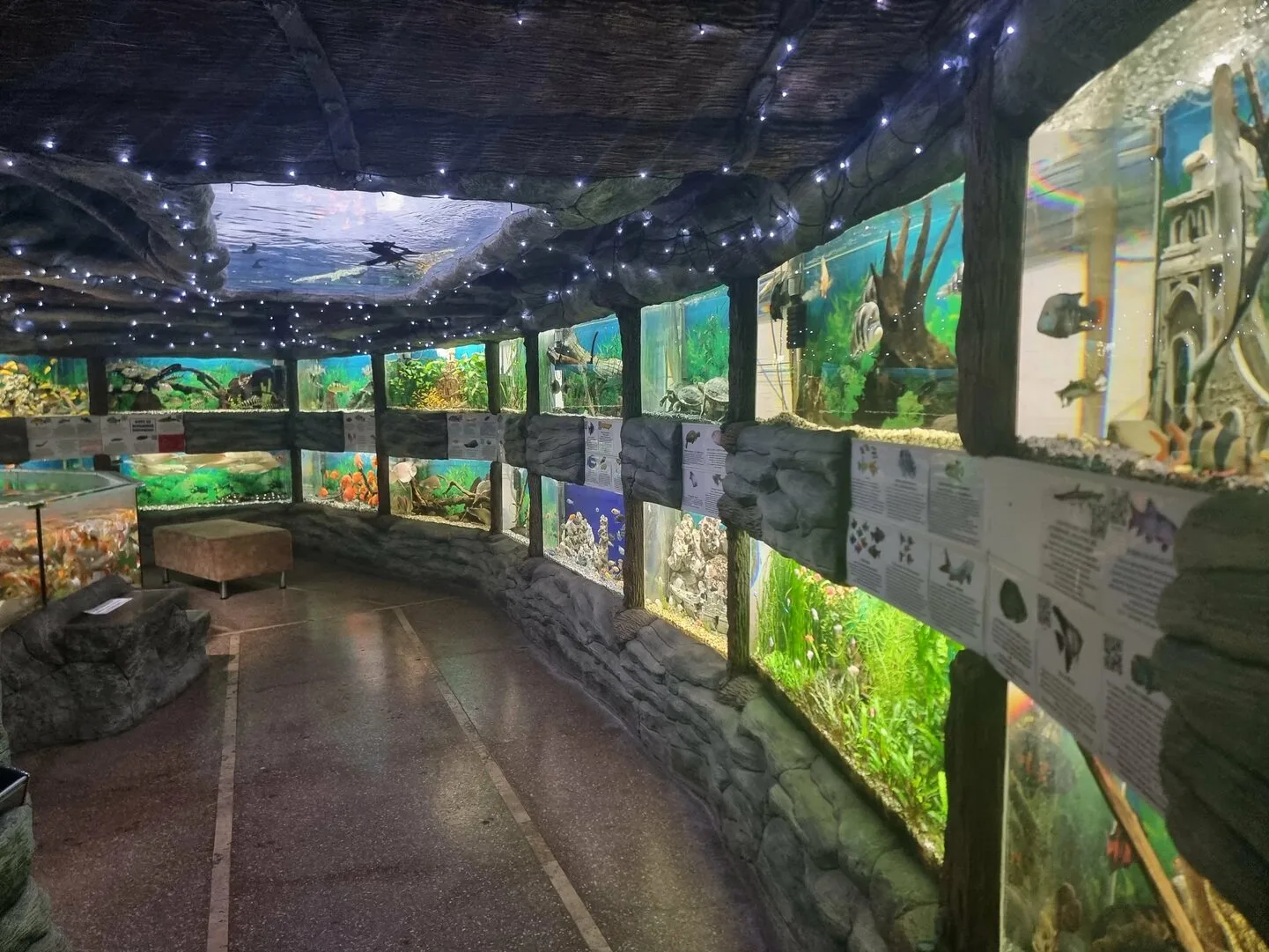 🐠🦈🐡Алуштинский аквариум — это не просто коллекция аквариумов, а полноценный познават...