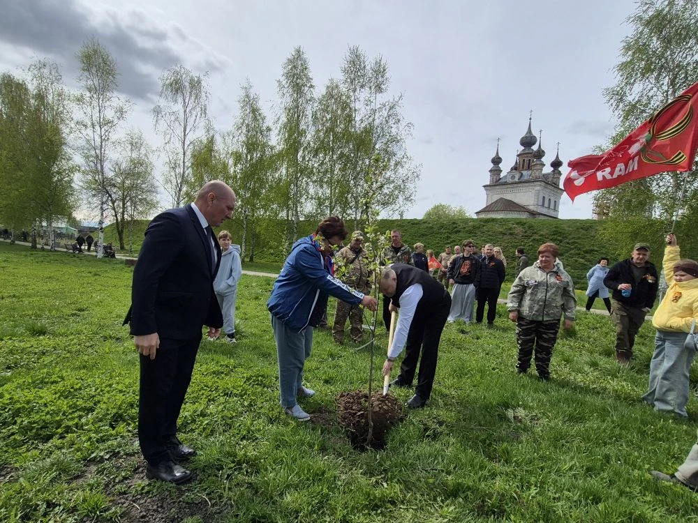 🌳 Акция «Сад памяти» в Юрьев-Польском   Сегодня, в День Победы, администрацией Юрьев-Польского округ