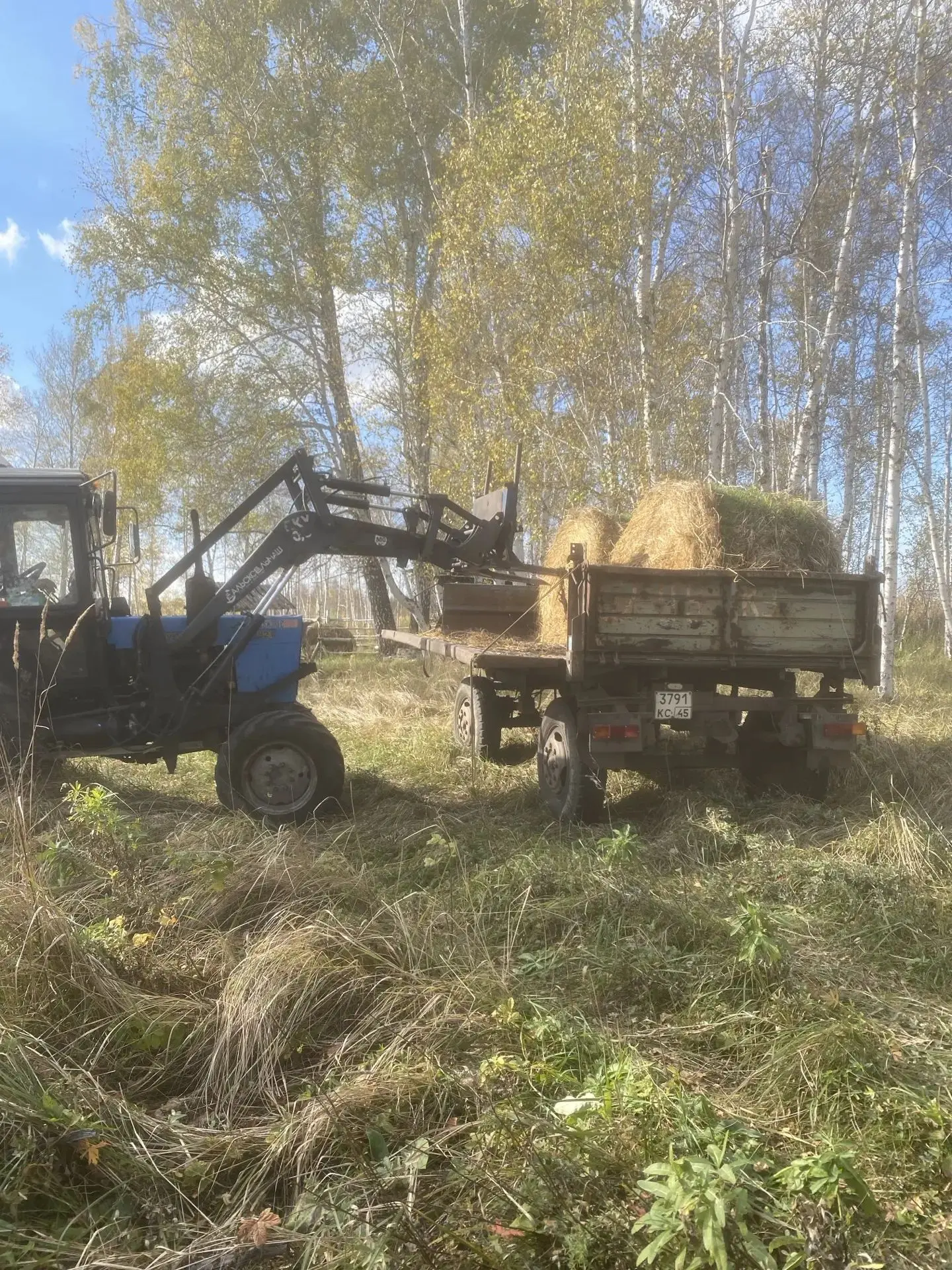 Подготовка к зиме в Далматовском государственном заказнике. Формируется запас грубых ко...