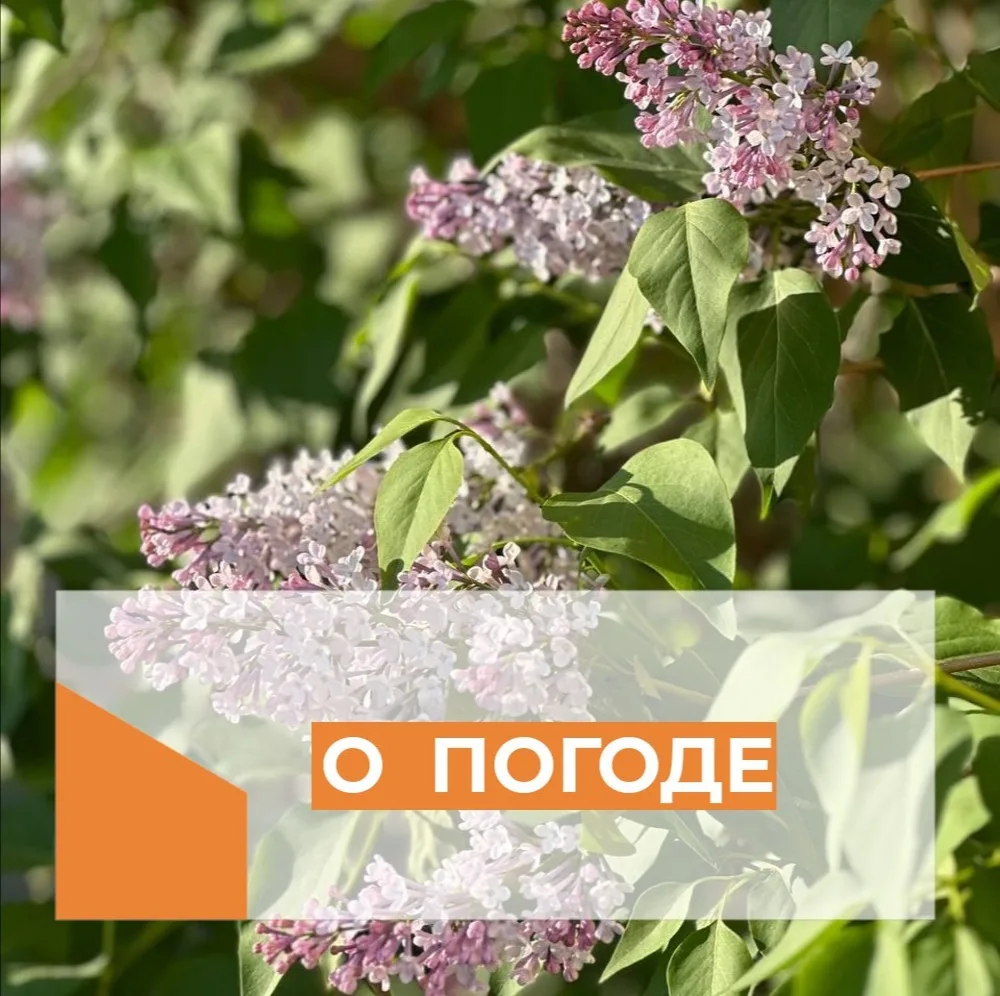 По данным Иркутского управления по гидрометеорологии и мониторингу окружающей среды

14 июня по обла
