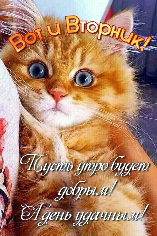 🥳 Веселья ЧАС - Присоединяйтесь