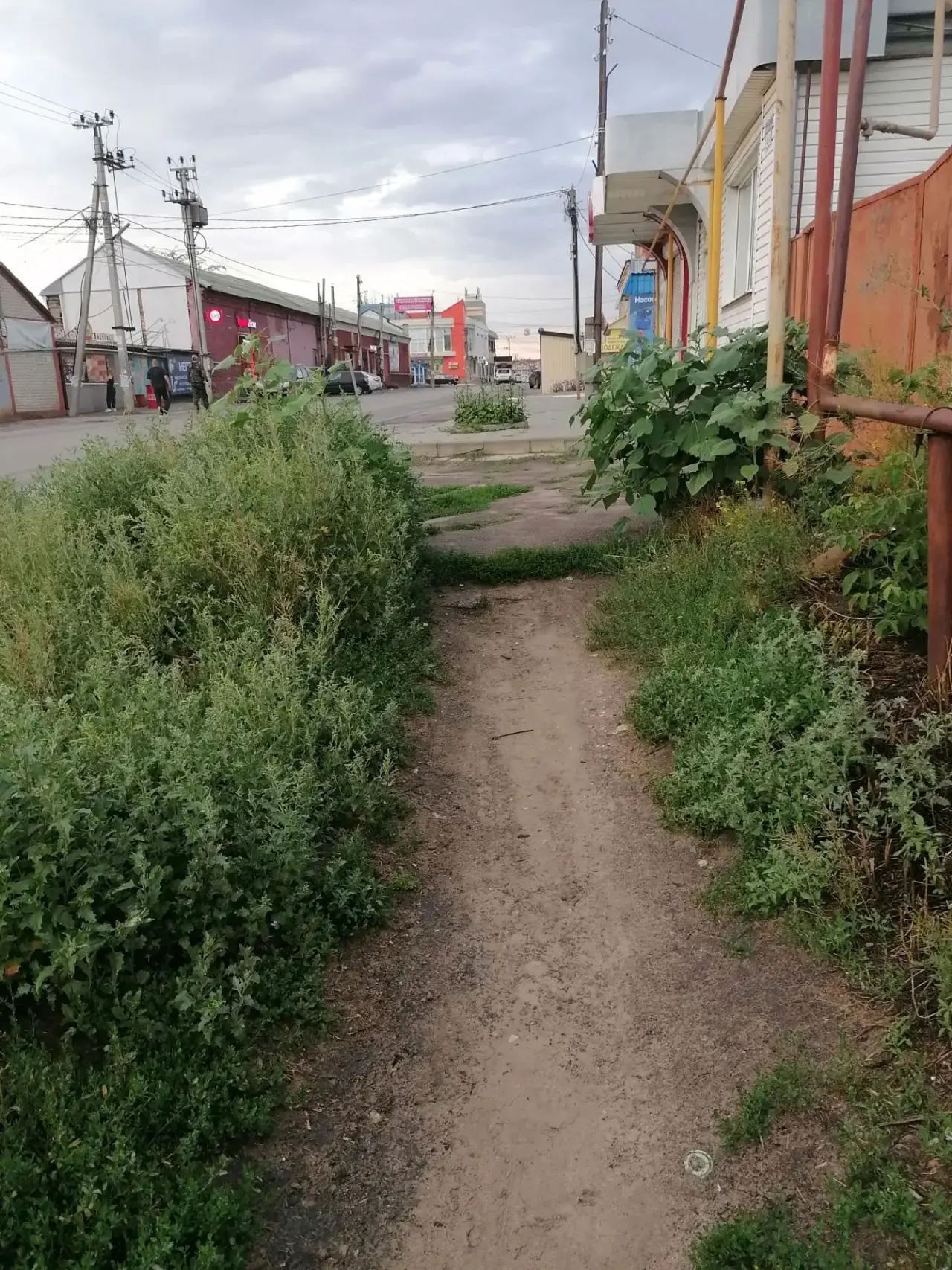 Чья территория, кто следит за ней? Ходить не возможно. Скосите уже эту гадость, цветёт уже. Анон.