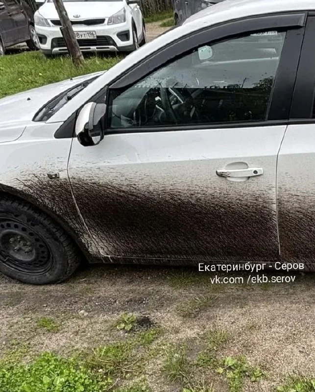 В профильных автомобильных сообществах появились жалобы от автовладельцев, чьи машины пострадали на 